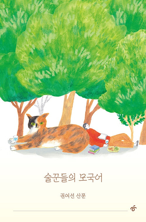 카지노 게임 사이트