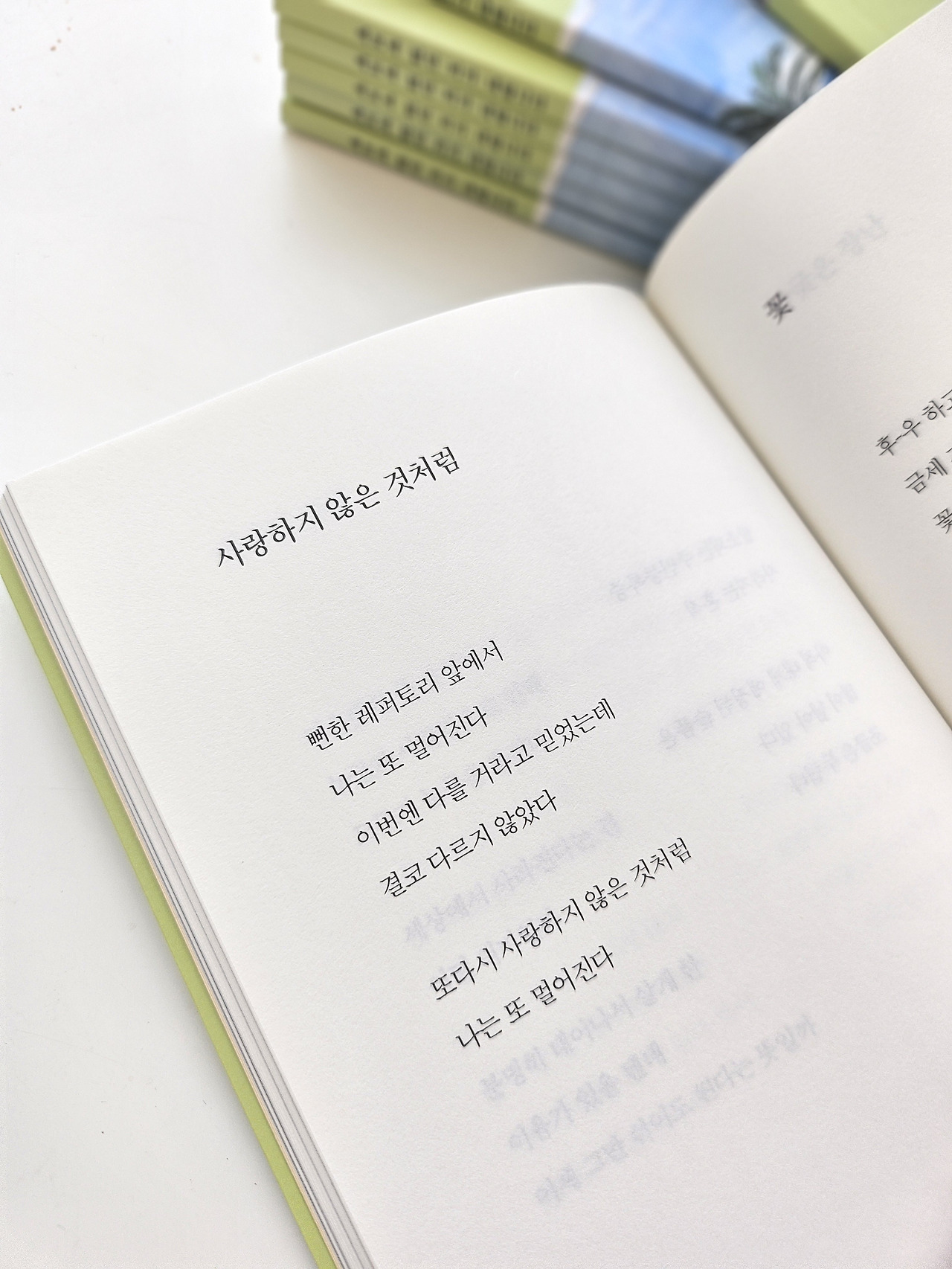 카지노 게임 추천