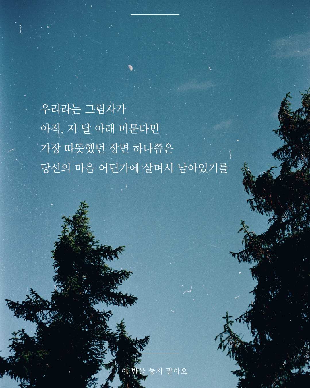 카지노 가입 쿠폰
