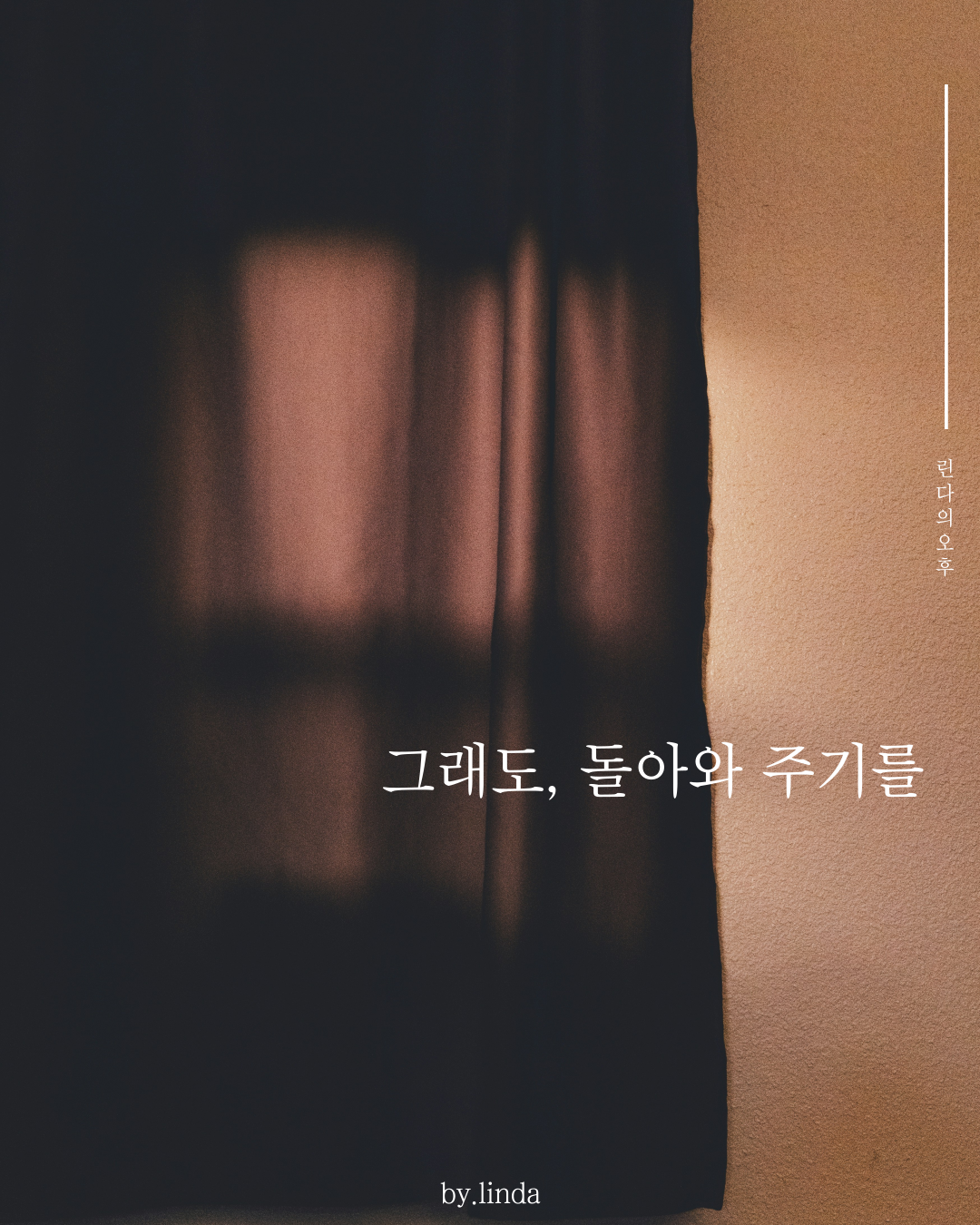 카지노 게임 사이트