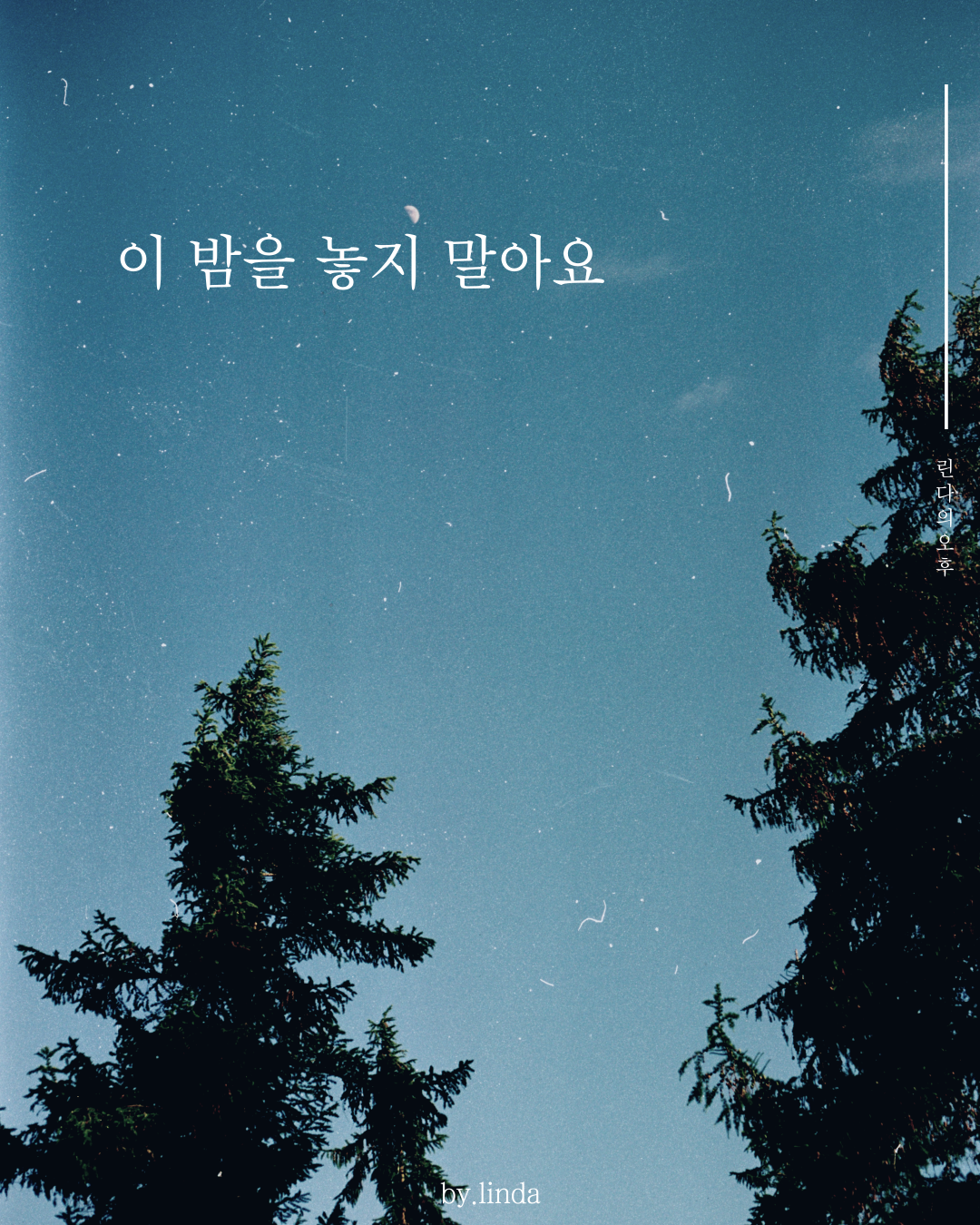 카지노 가입 쿠폰