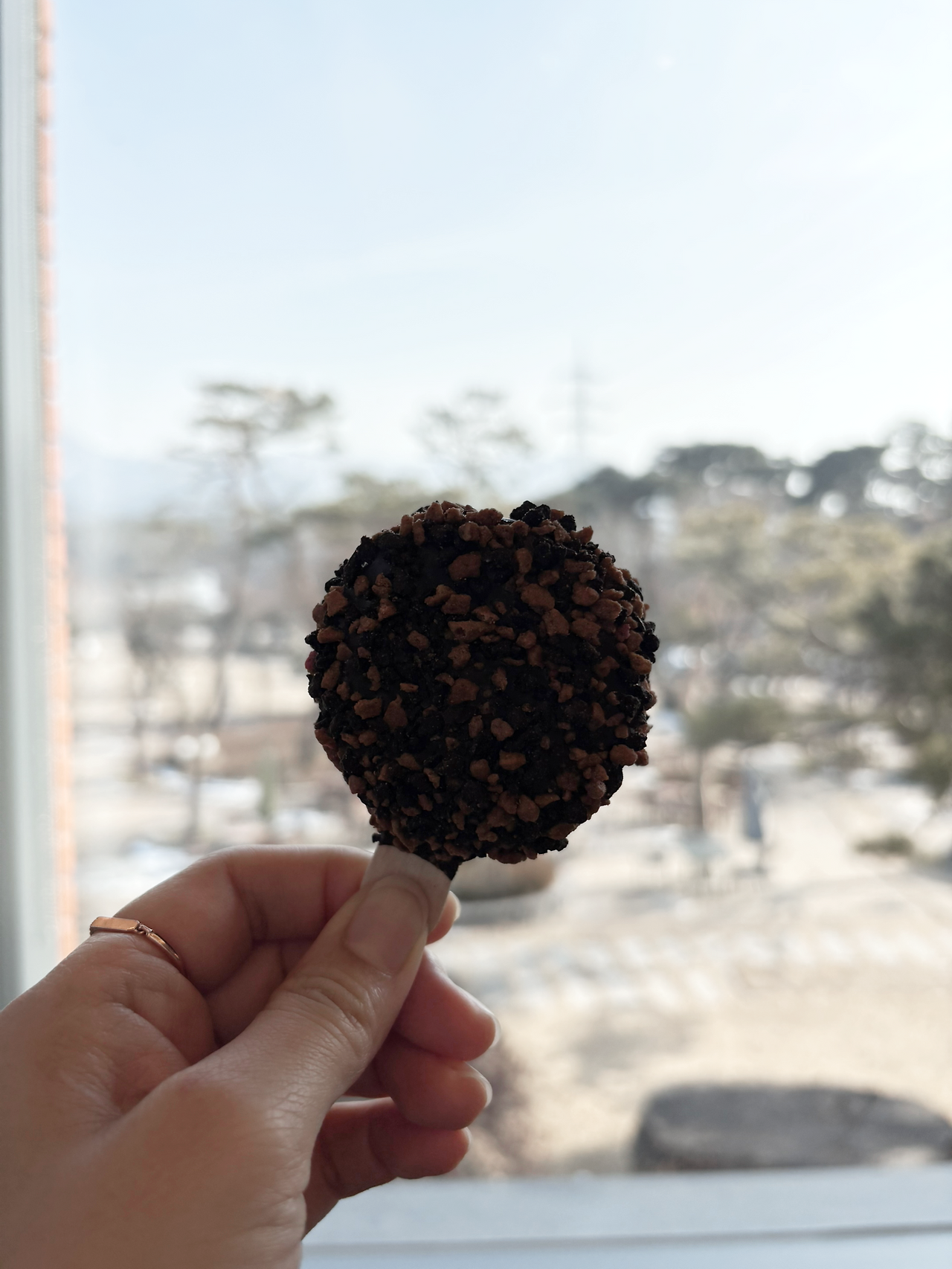 카지노 게임 사이트