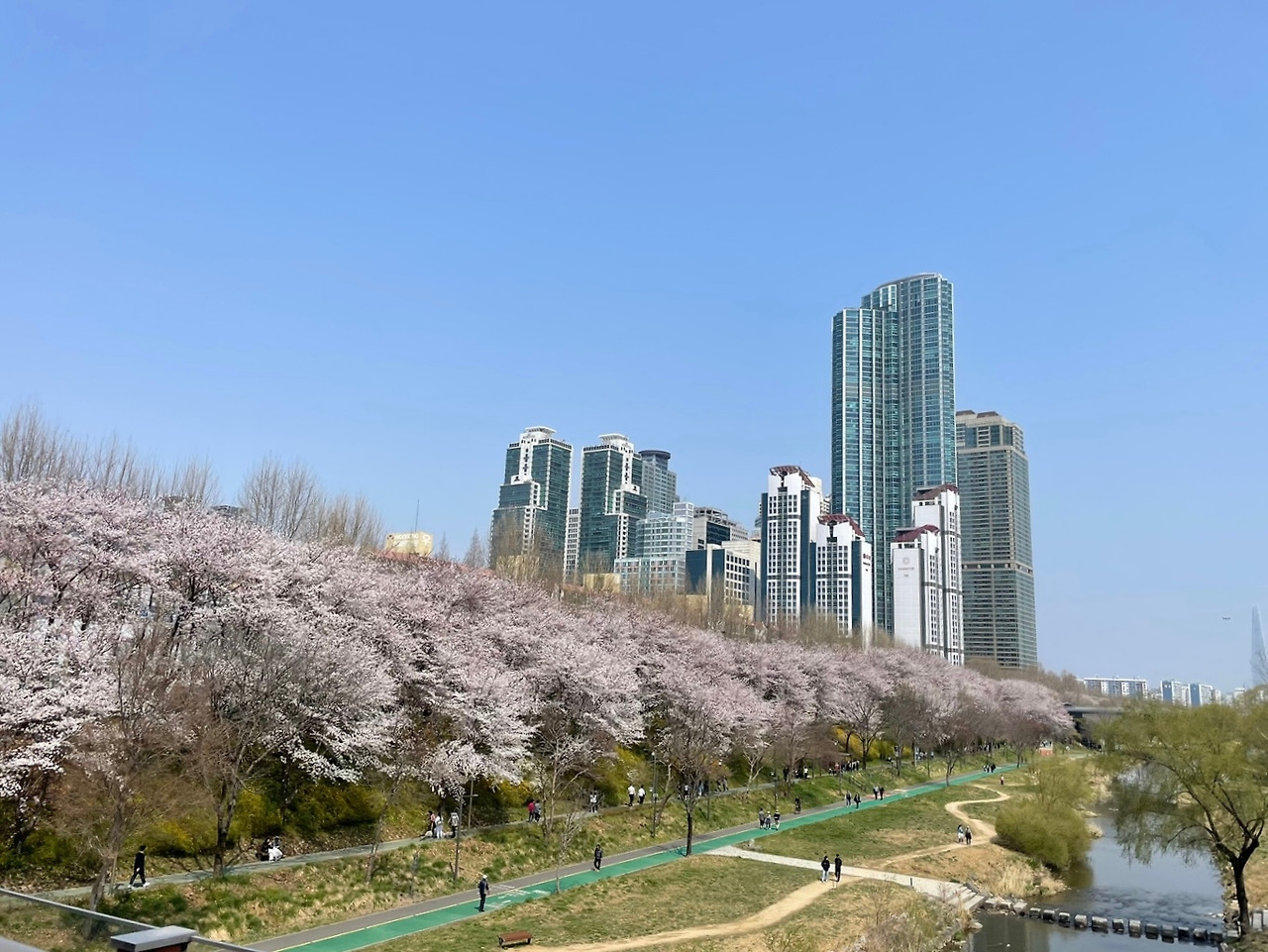 온라인 카지노 게임
