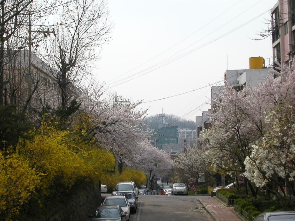 카지노 게임 사이트
