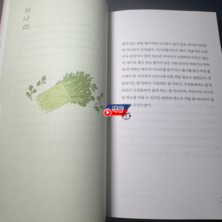 카지노 쿠폰