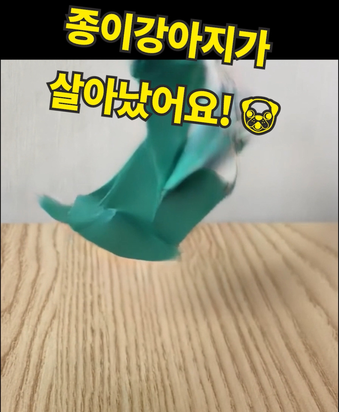 무료 카지노 게임