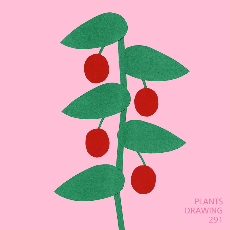 plants-drawing-291