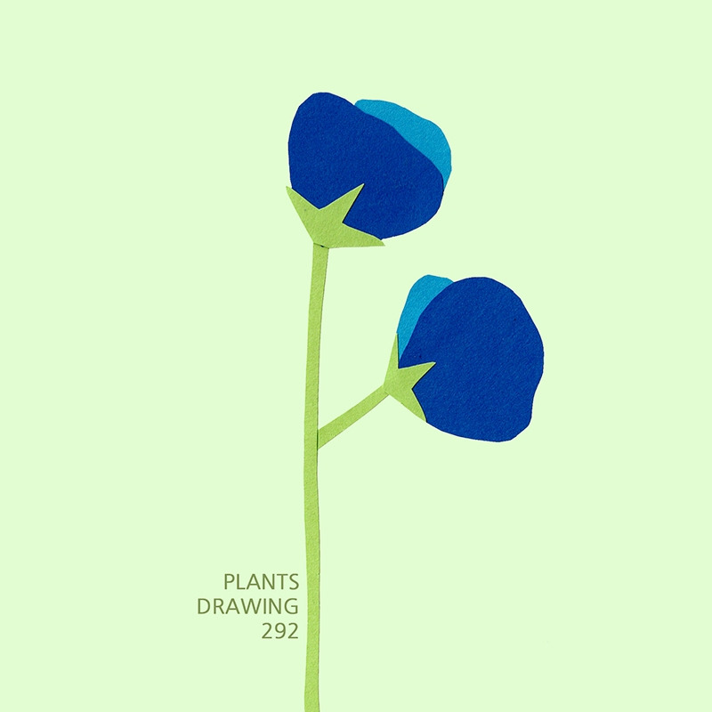 plants-drawing-292