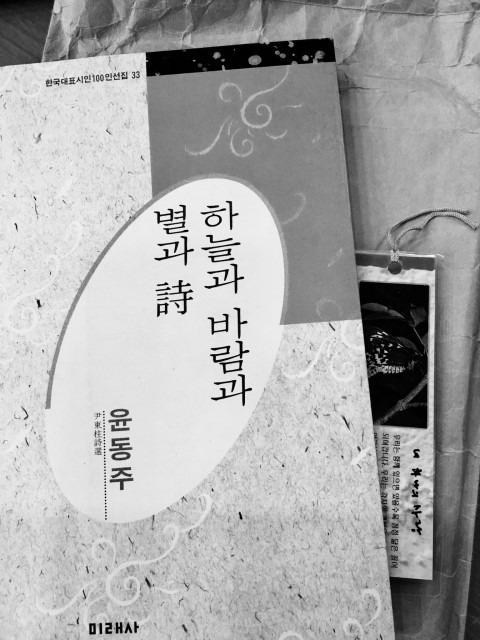 카지노 가입 쿠폰