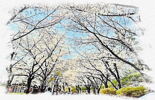 카지노 게임 사이트