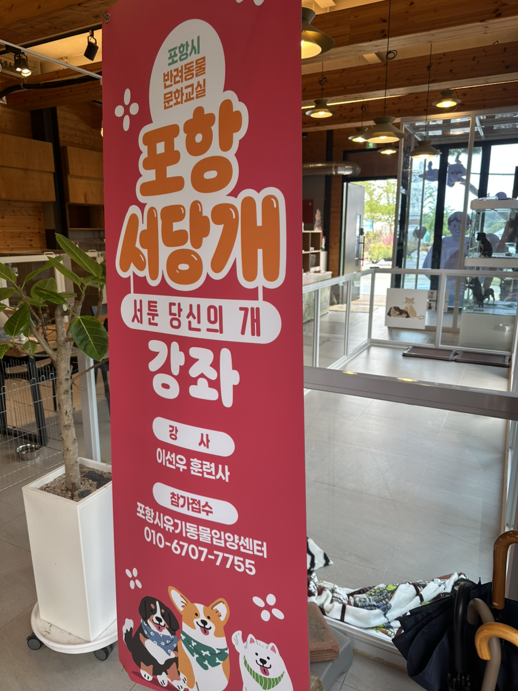 카지노 게임 사이트