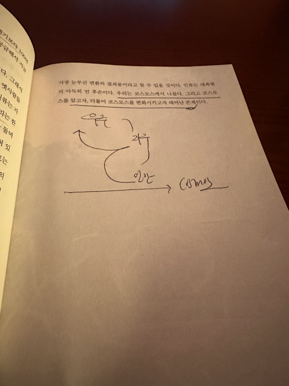 카지노 쿠폰