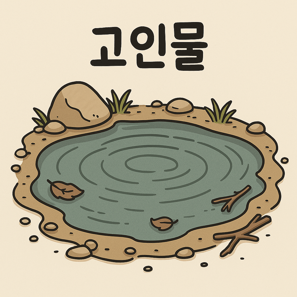 카지노 가입 쿠폰