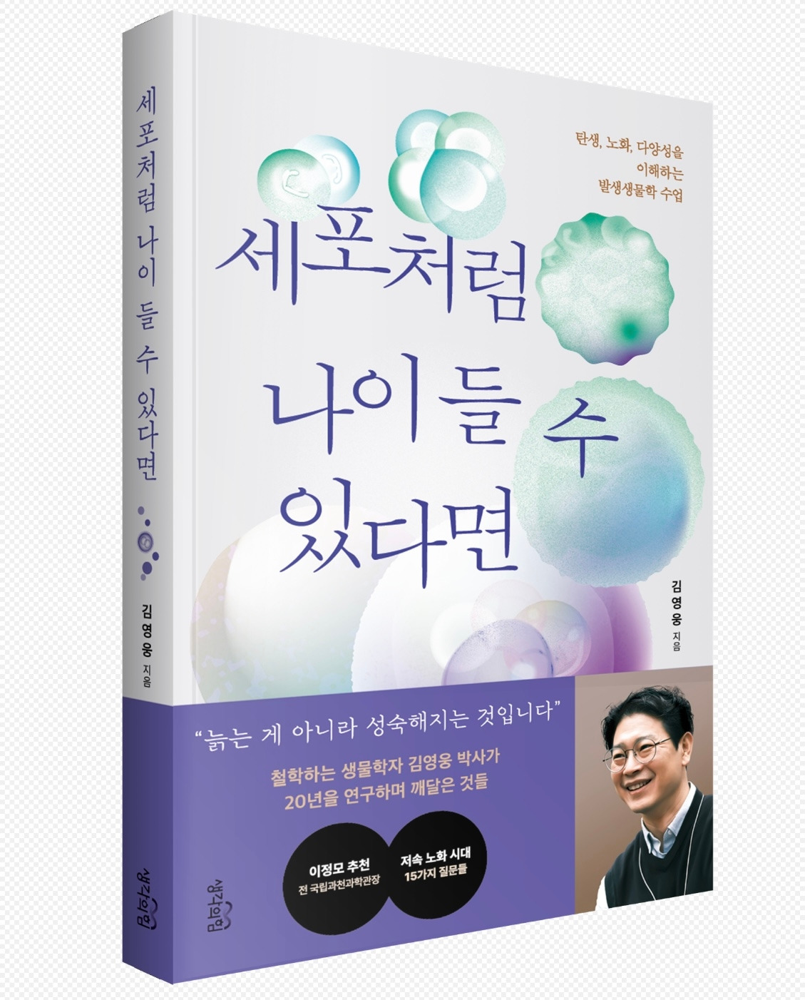 카지노 게임 추천