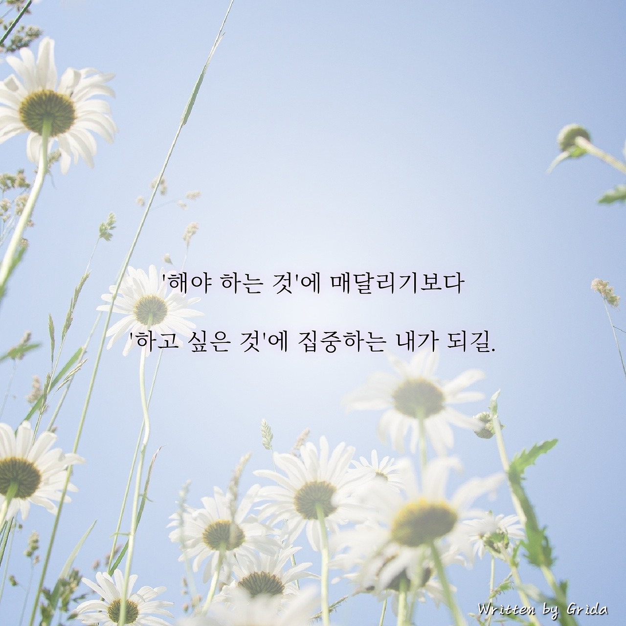 마음이 바라는 일을 하자