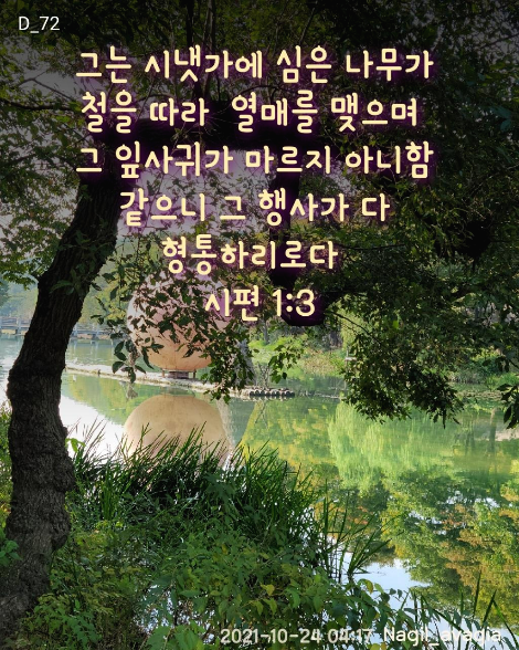시냇가의 추억 그리고 형통
