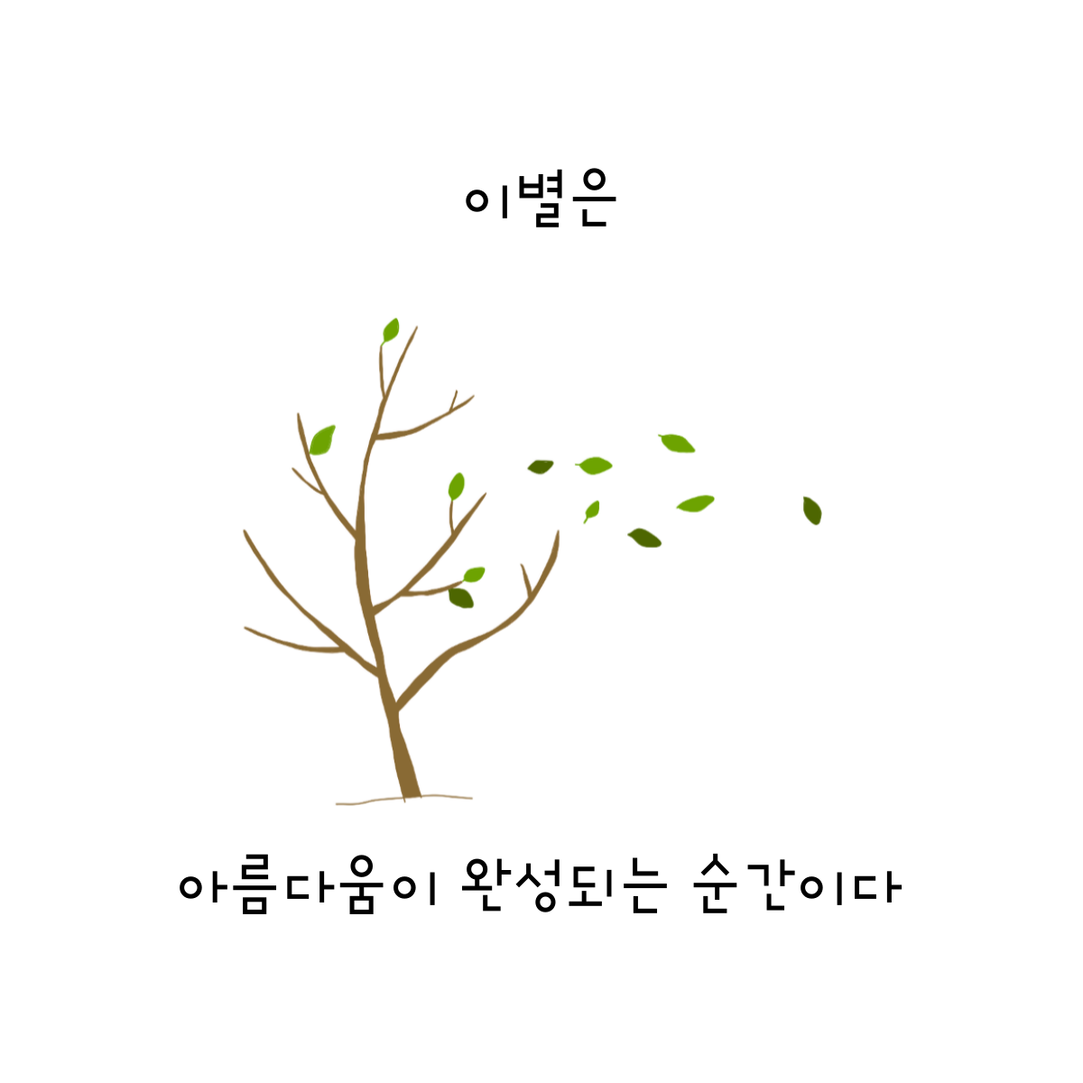 카지노 게임
