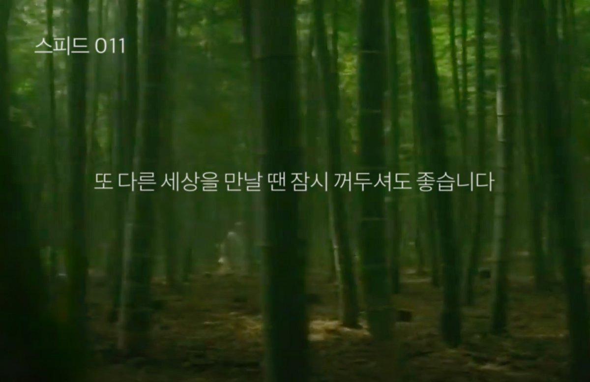 잠시 모른 척하셔도 좋습니다