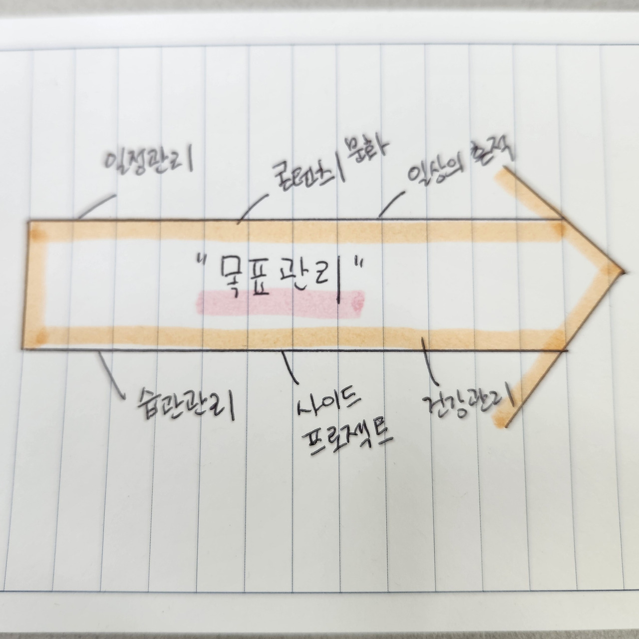 카지노 가입 쿠폰