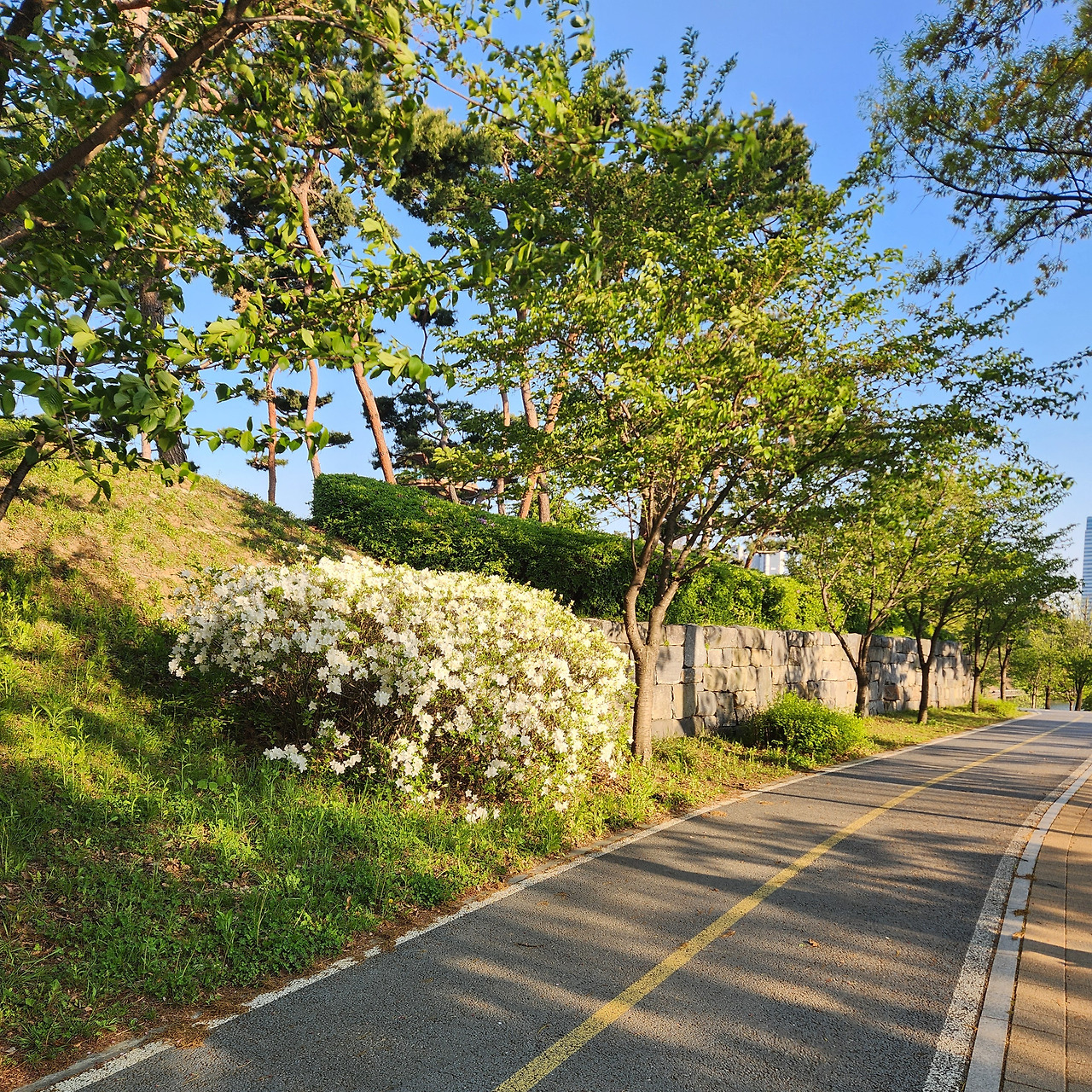 카지노 쿠폰