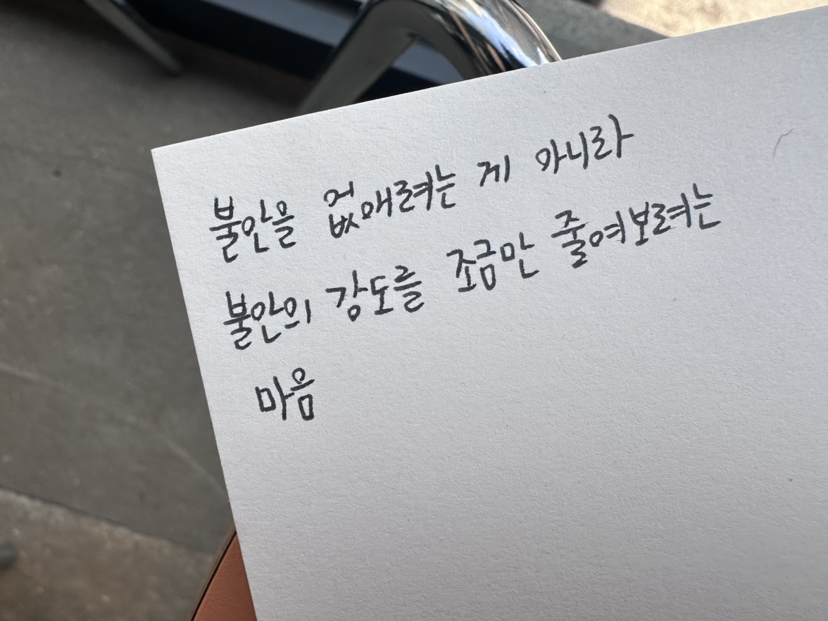 카지노 게임 추천