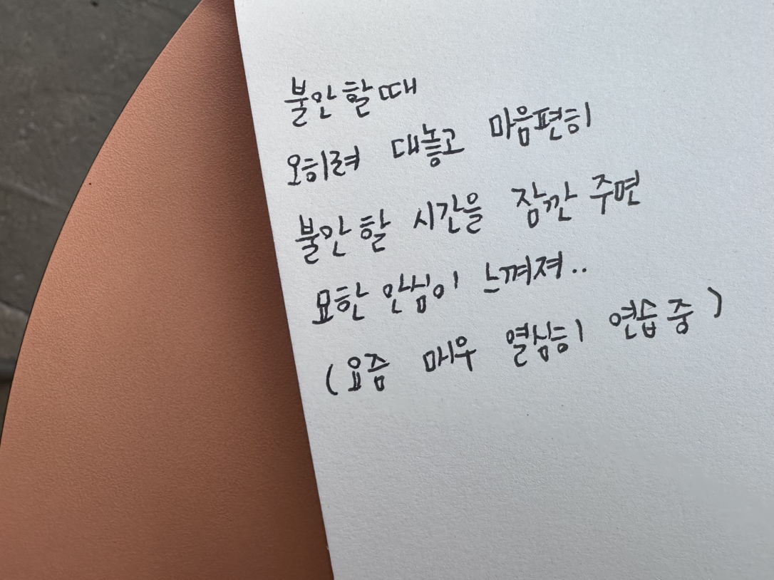 카지노 게임 추천