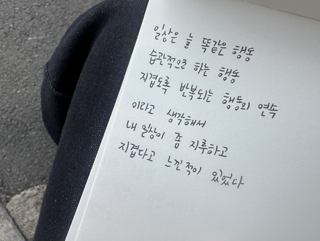 카지노 게임 추천