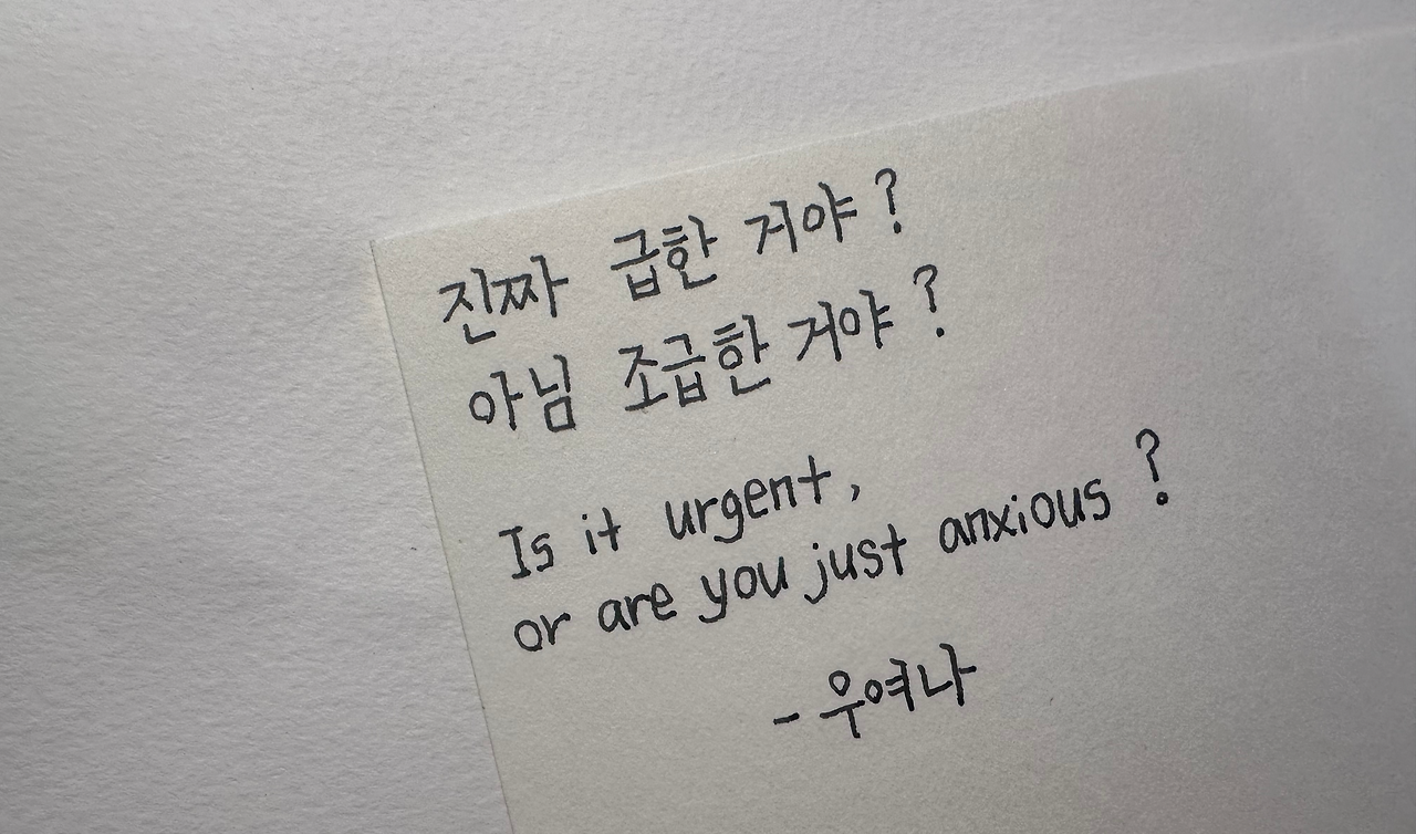 무료 카지노 게임