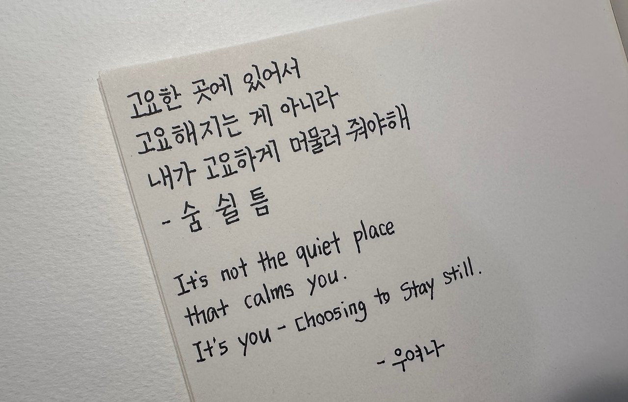 카지노 게임 추천