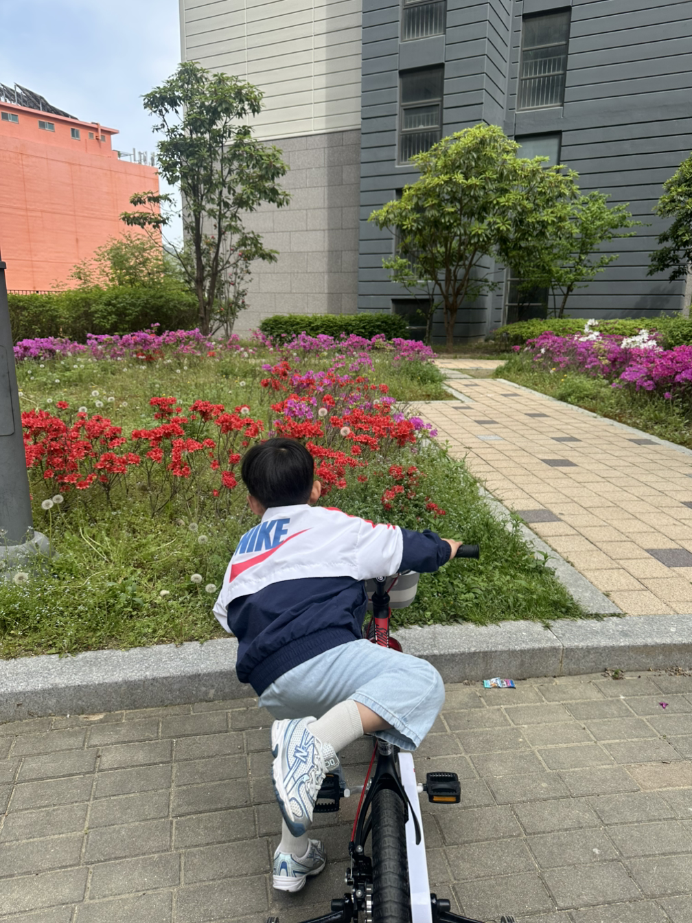 온라인 카지노 게임