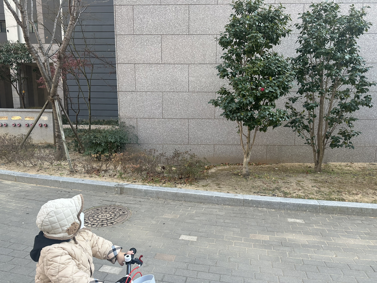 카지노 가입 쿠폰