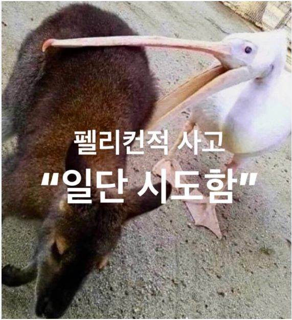 무료 카지노 게임