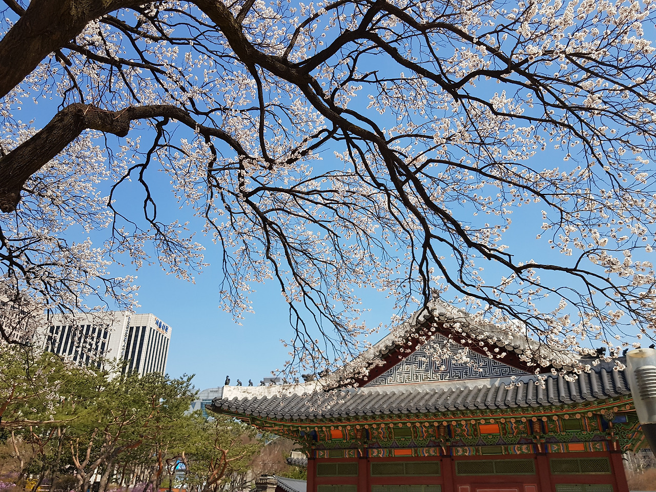 광화문 근처 커피 잘하는 집-Chapter 3