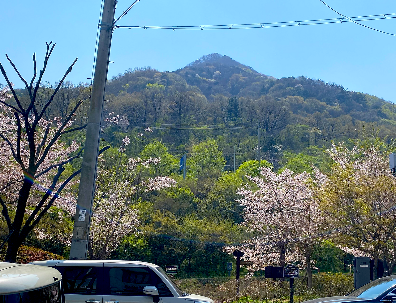 카지노 게임