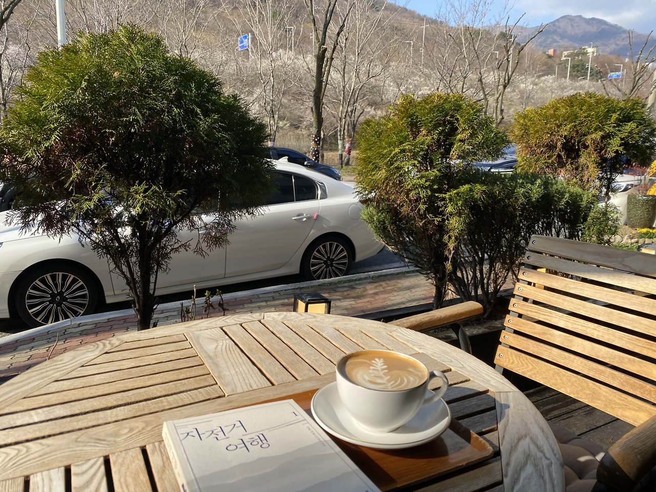 카지노 쿠폰
