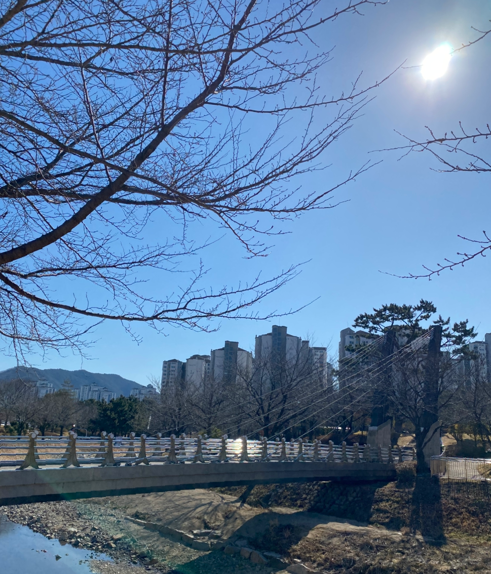 카지노 게임 사이트