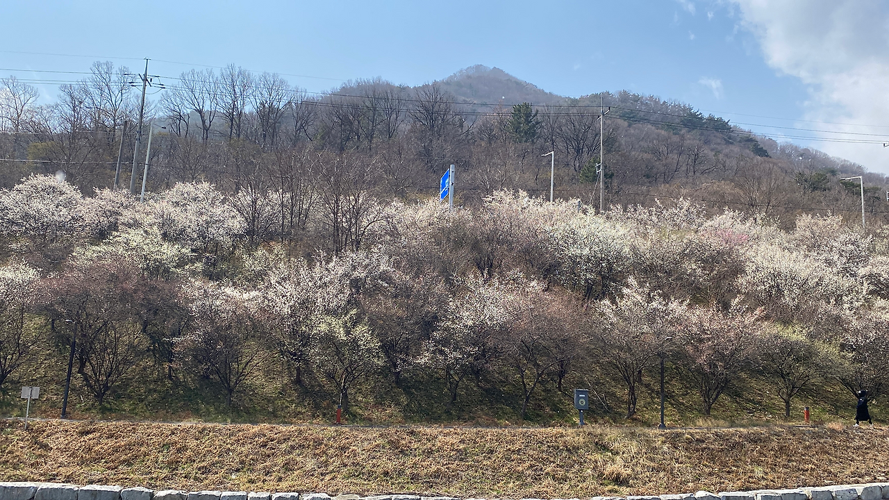 카지노 게임 추천