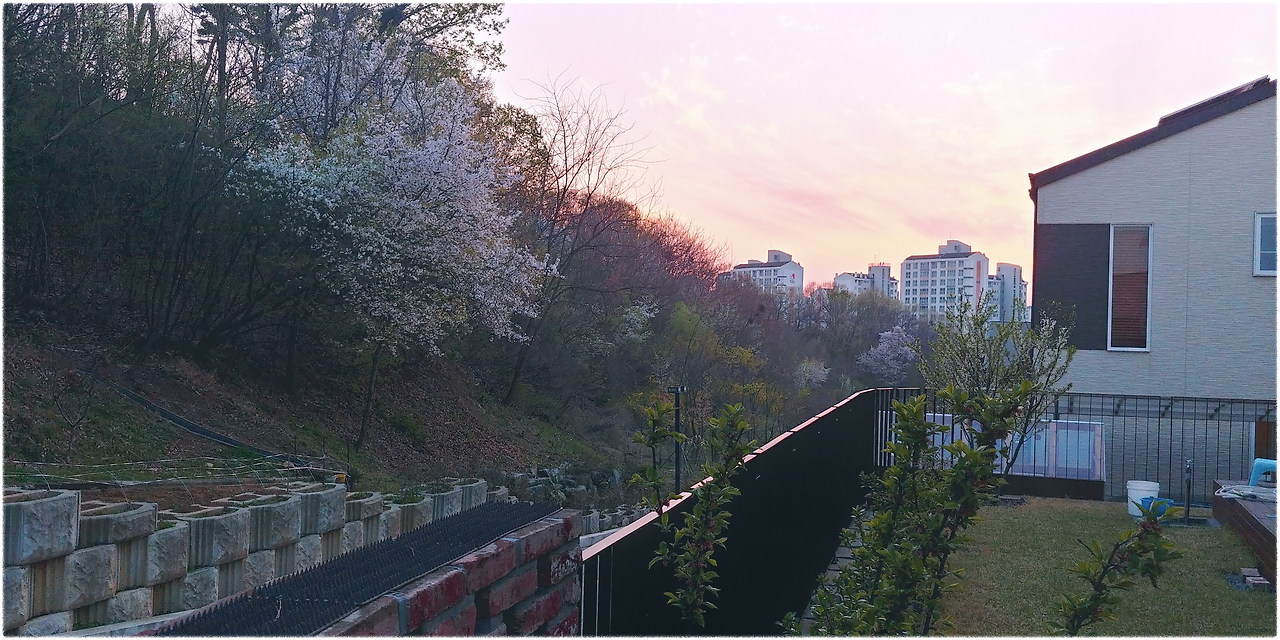 카지노 게임 추천