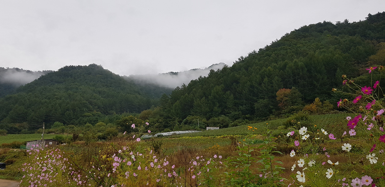 02화 두메산골에서의 하룻밤