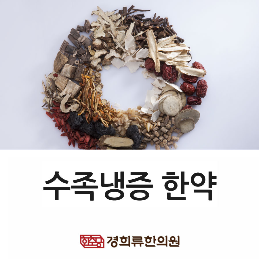 손발이 차가울 때 한의원에서 한약이 정말 효과가 있나요? (30년 경력의 한의사가 전하는 조언) 2