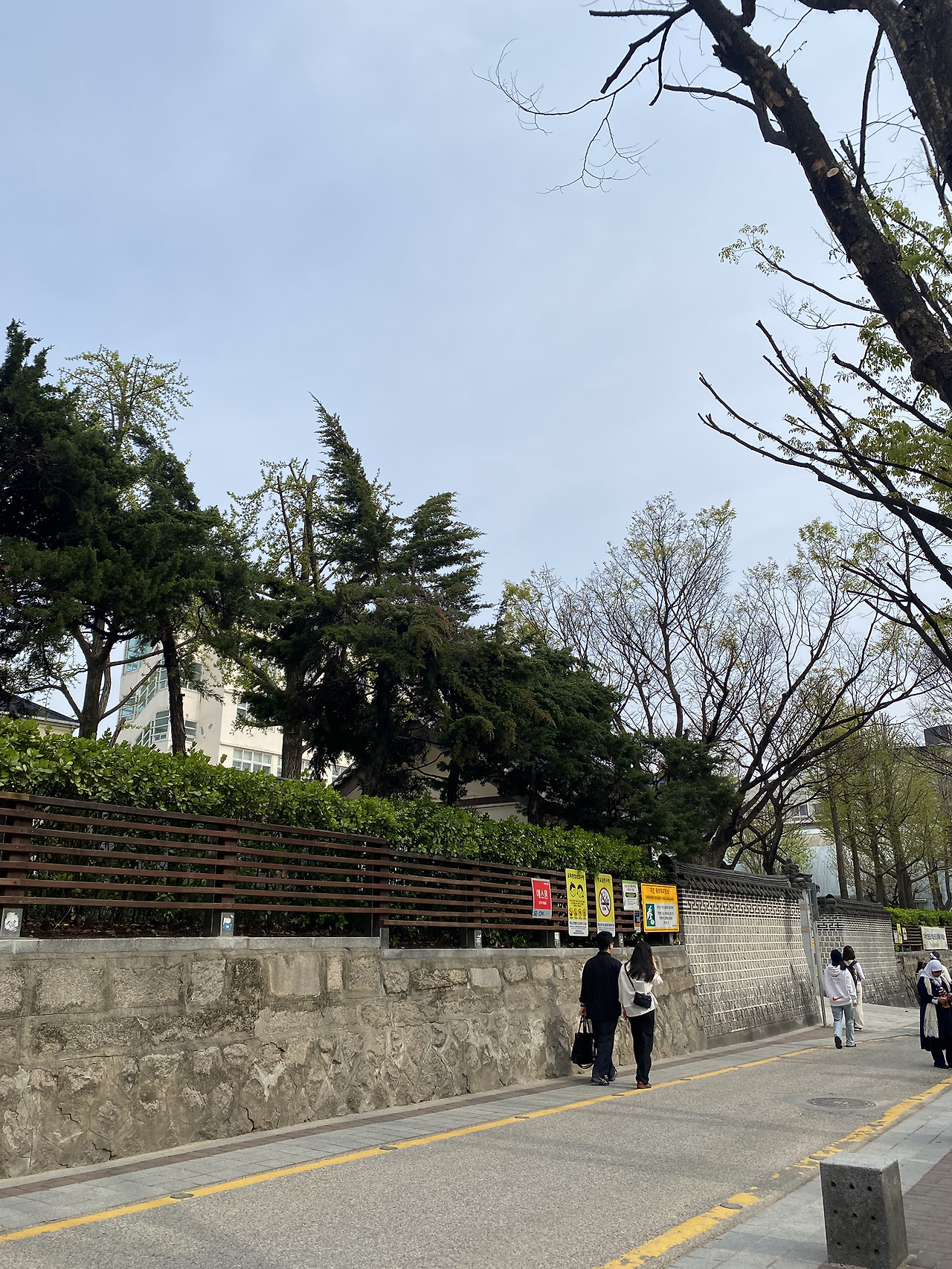 무료 카지노 게임