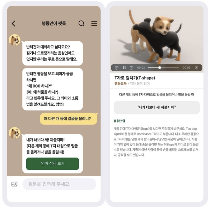 온라인 카지노 게임