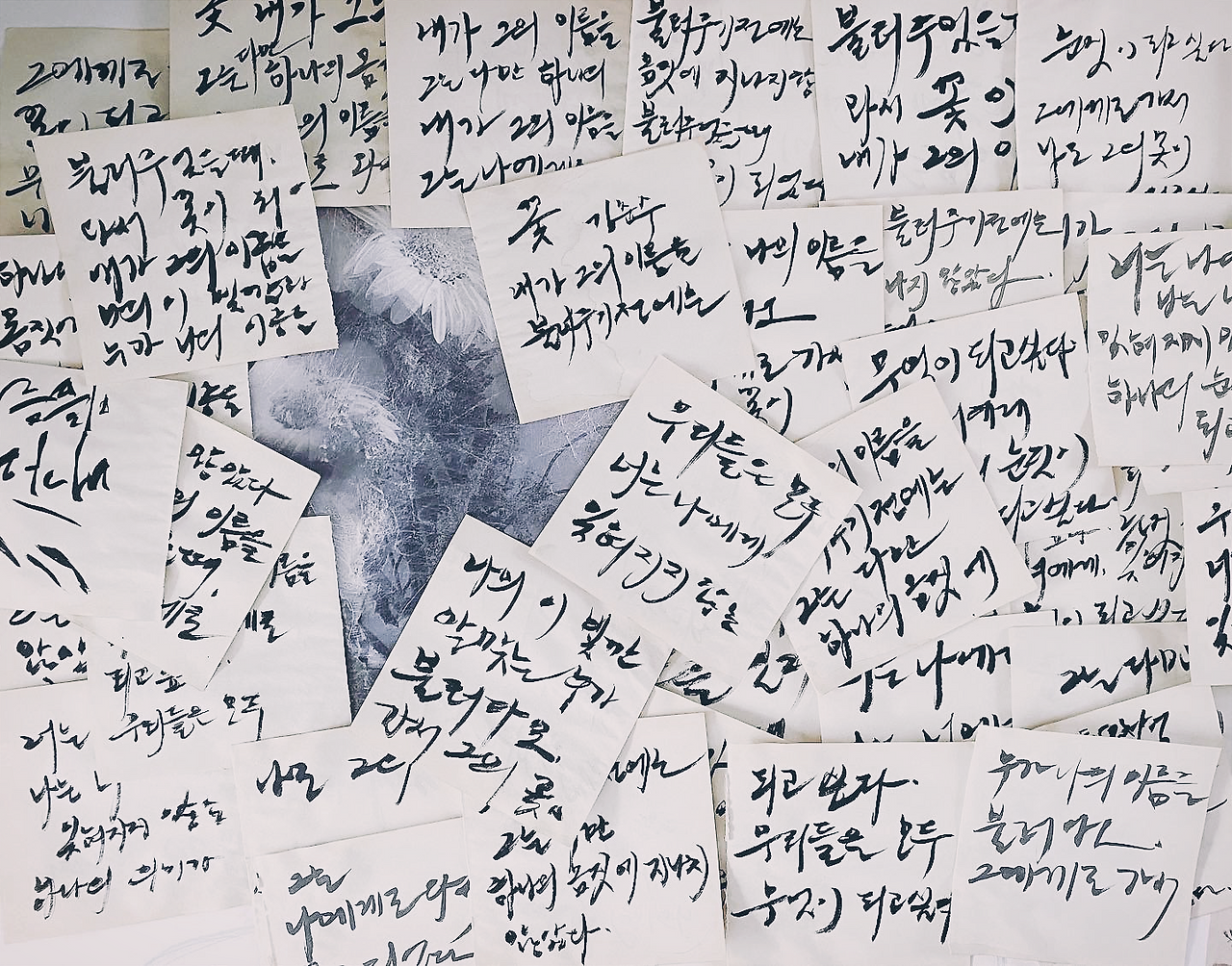 카지노 가입 쿠폰