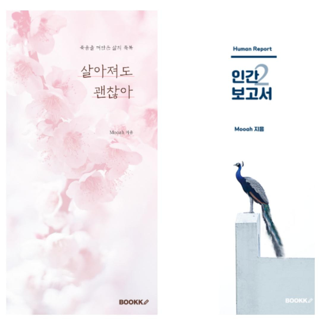 카지노 쿠폰