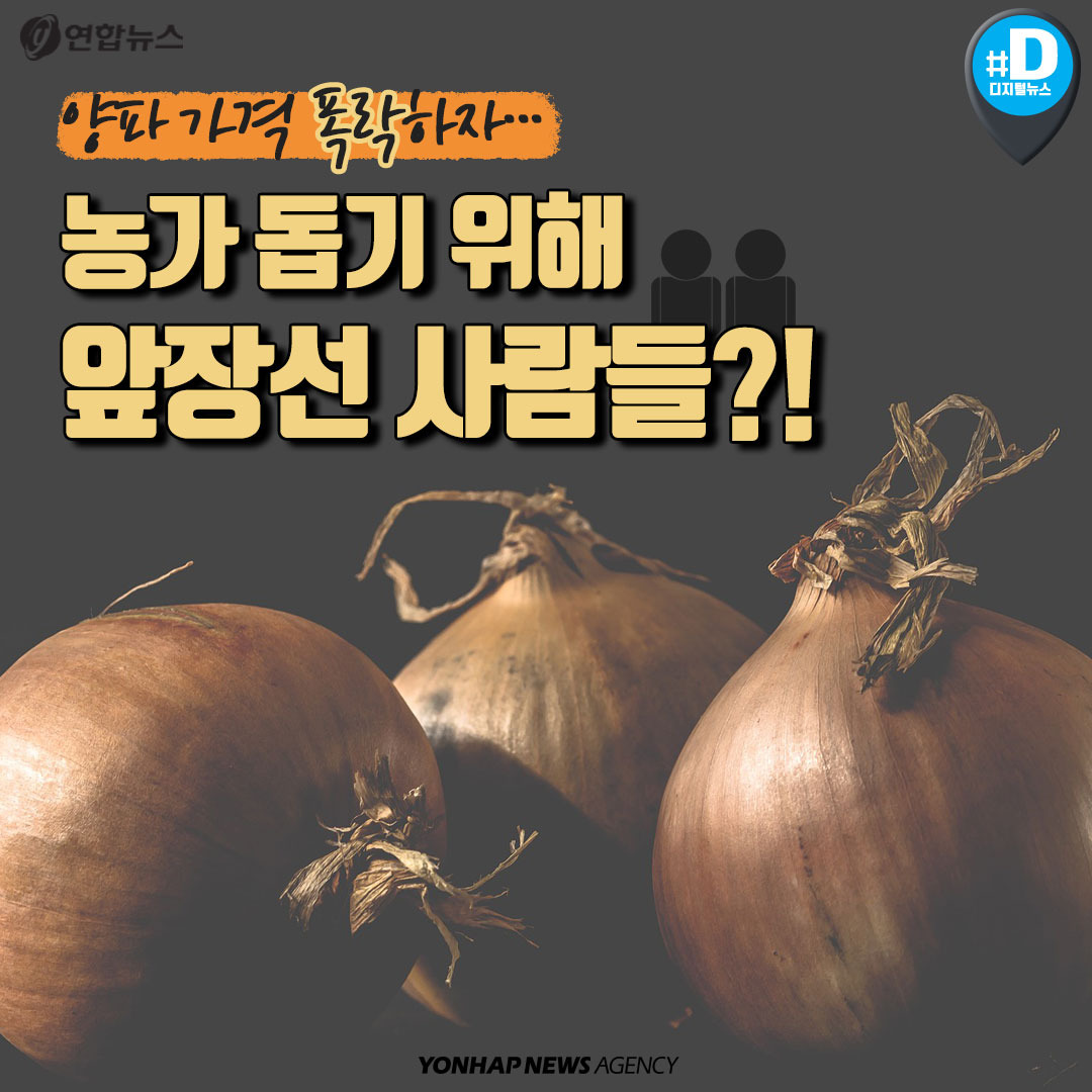 양파 가격 폭락하자··· 농가 돕기 위해 앞장선 사람들