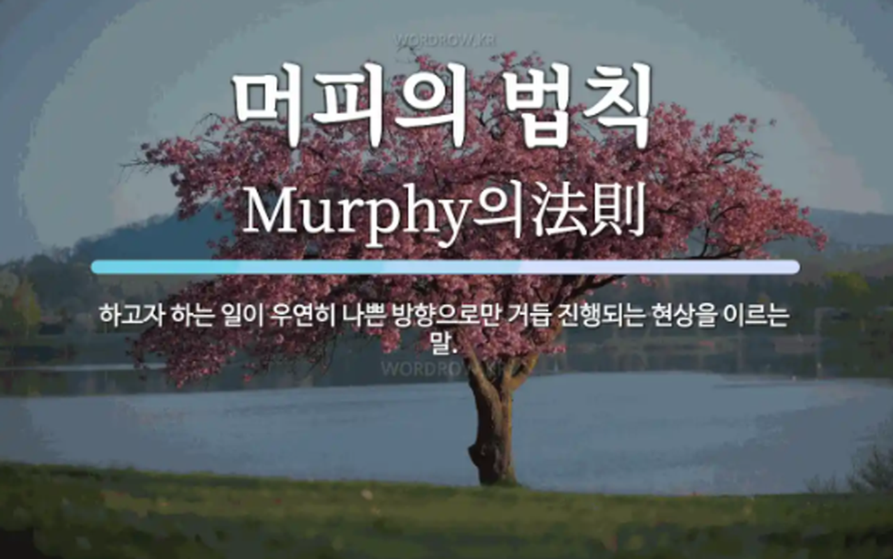 카지노 게임 사이트