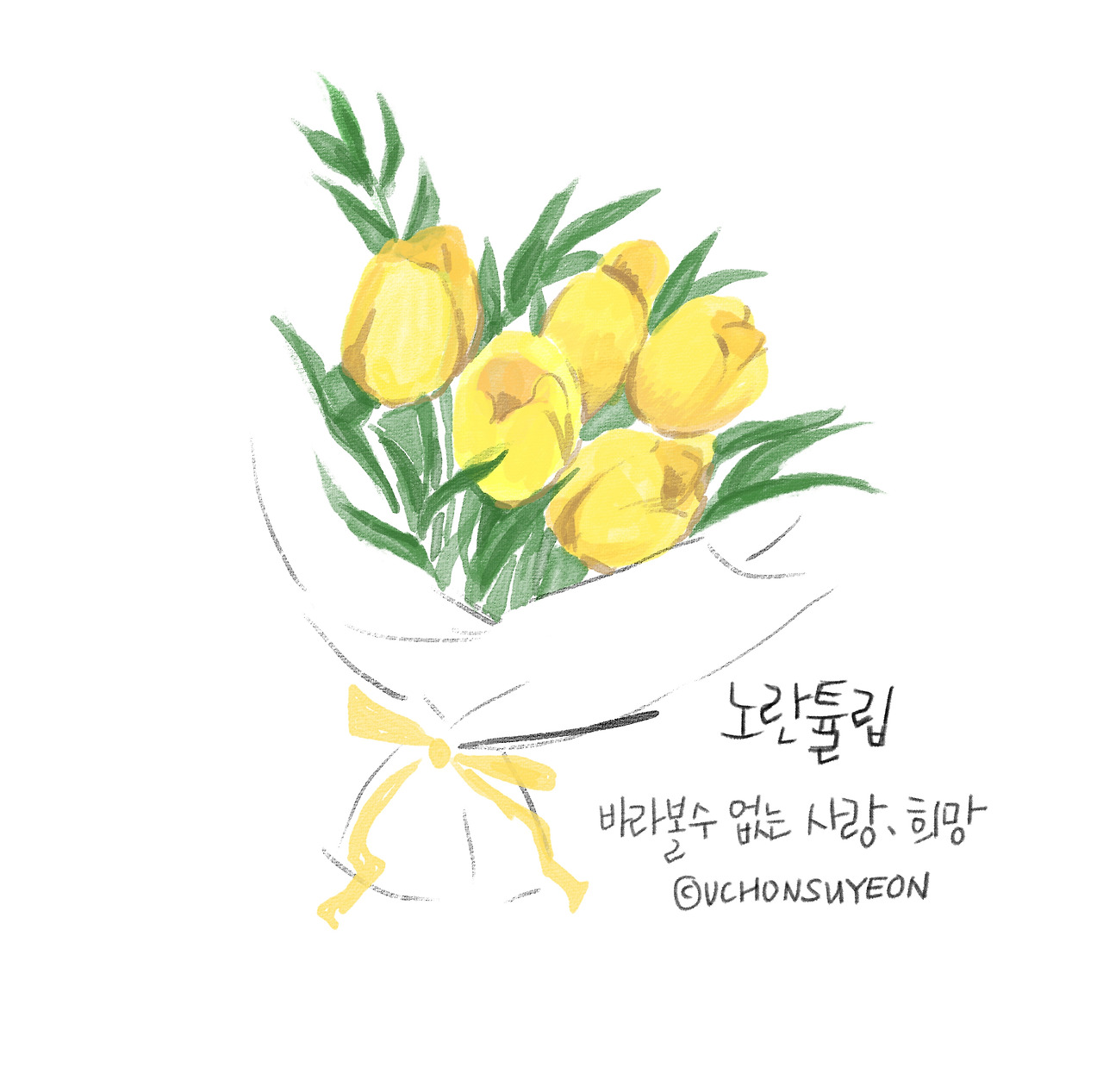 노란 튤립 꽃말