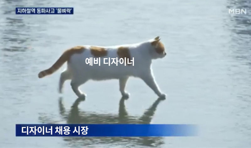 카지노 쿠폰