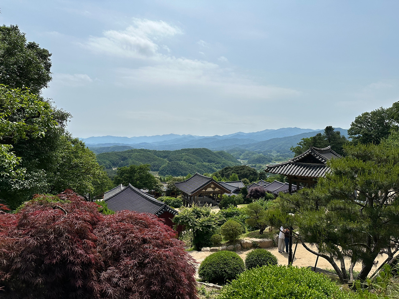 카지노 쿠폰