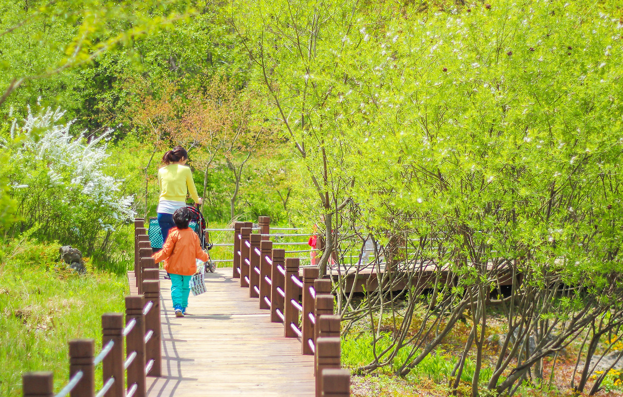 대한민국의 숨은 보석! 경기도 가볼만한 곳 Best 5